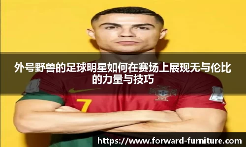 mk体育官网入口