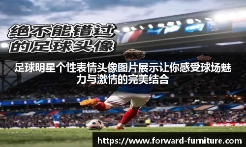 mk体育官网入口