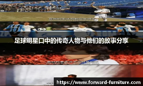 mk体育官网入口