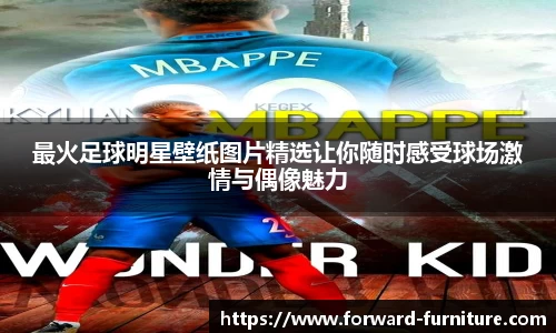 mk体育官网入口